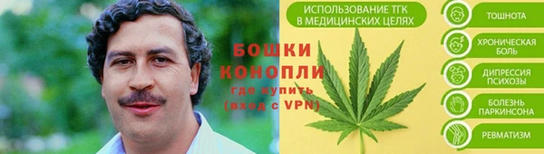 молекула духа Сафоново