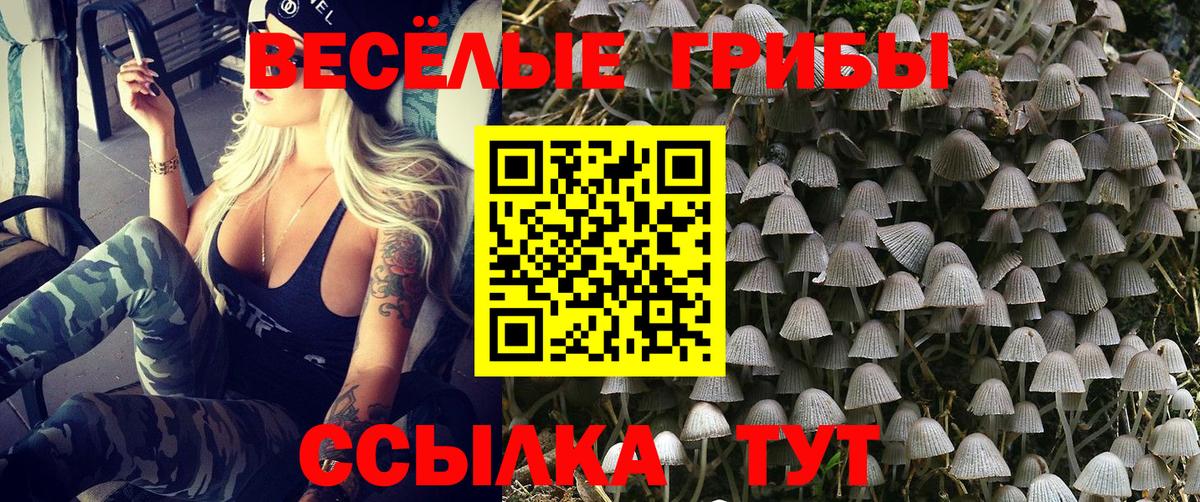 Галлюциногенные грибы Cubensis Белорецк